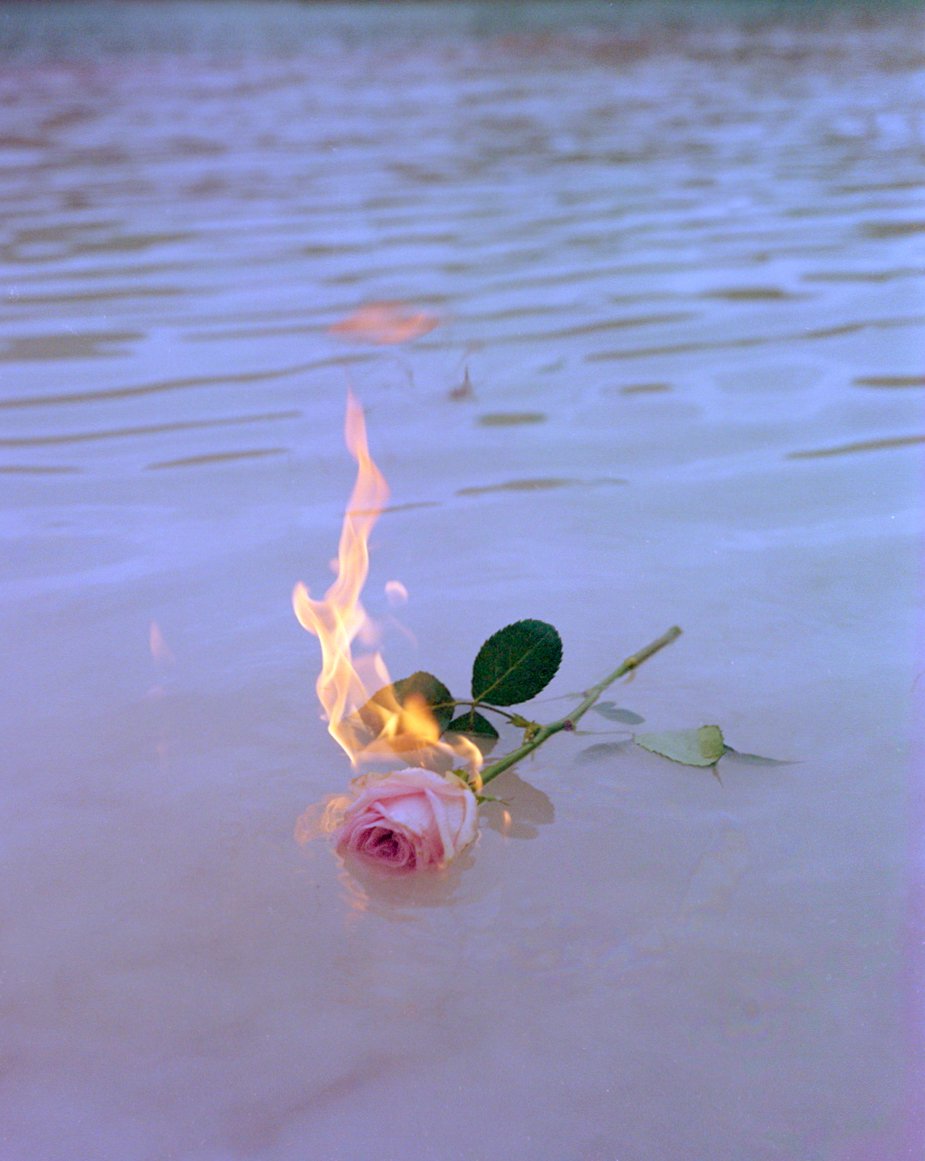 turning roses into smoke