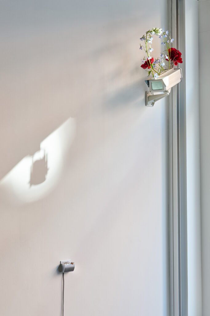 installation view0043
